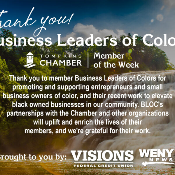 Business Leaders of Colors