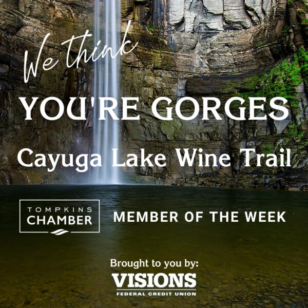 Cayuga Lake Wine Trail