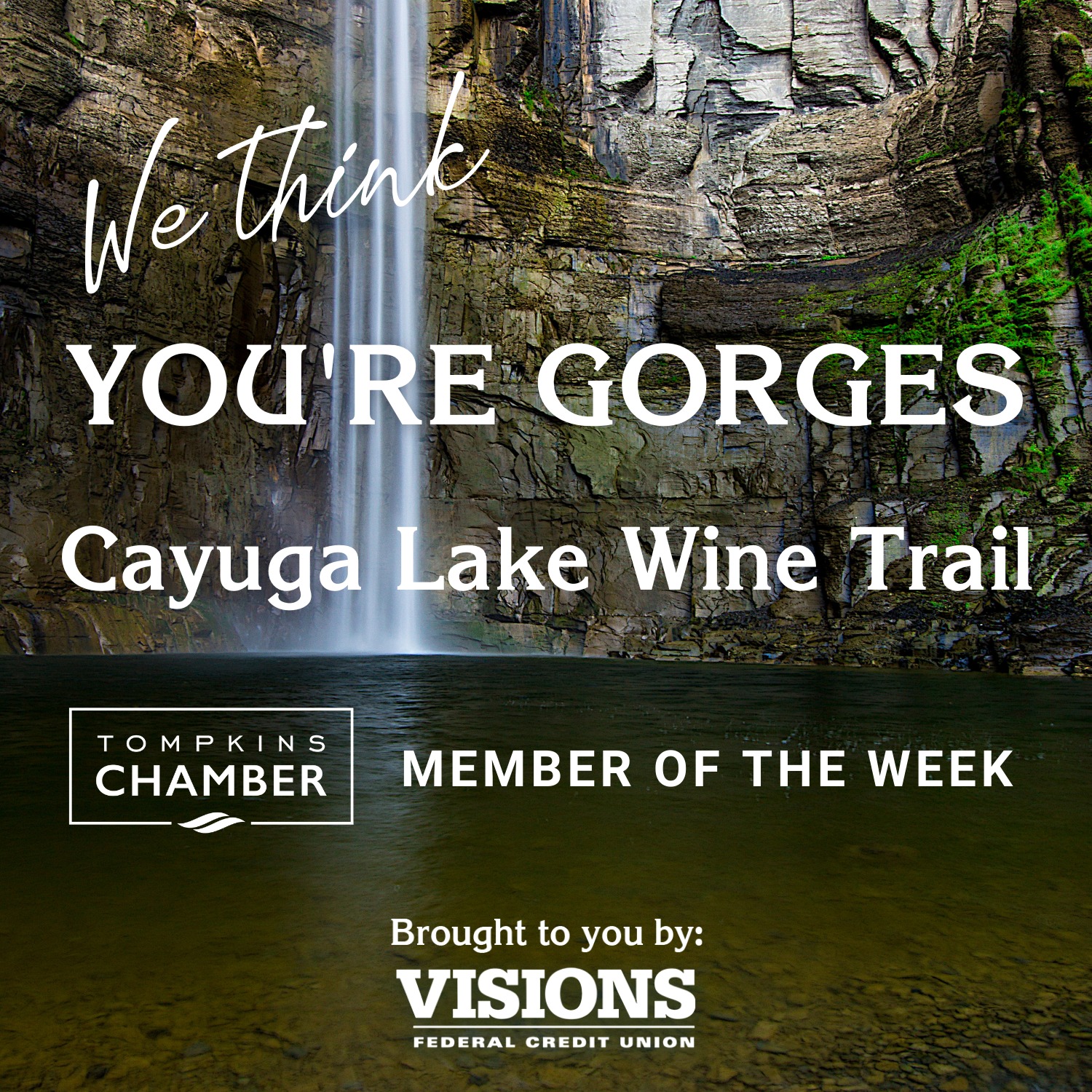 Cayuga Lake Wine Trail Tompkins County Chamber of Commerce