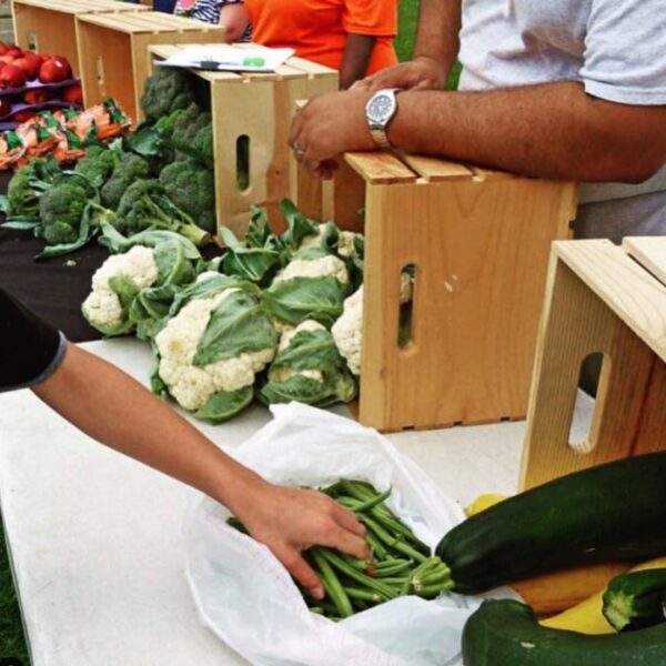 Food Bank of the Southern Tier