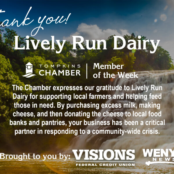 Lively Run Dairy